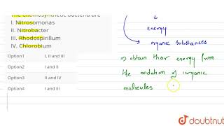 The chemosynthetic bacteria are I Nitrosomonas II Nitrobacter III Rhodospirillum [upl. by Briney]