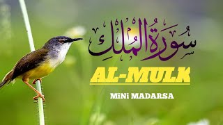 surah almulk complete quran tilawat episode no17 mp3 [upl. by Barrow]