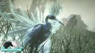 Red Dead Redemption 2  Snowy Egret Location [upl. by Rj]