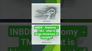 INBDE Anatomy TMJ what is hinge movement of condyle [upl. by Hudnut628]