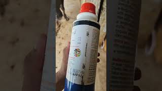 calcium in the soil  calcium benefit in farming  liquid calcium  caldrip farming ricecrop [upl. by Aihsened]