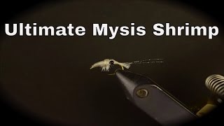 Ultimate Mysis Shrimp Fly Pattern [upl. by Burrton810]