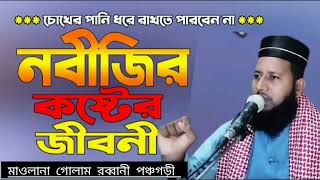 islamic wazrasuler jiboni maulana golam rabbani panchagari মাওলানা গোলাম রব্বানী [upl. by Finegan]