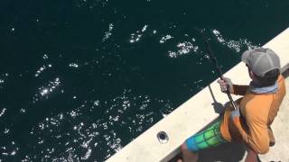 Sanibel Island Offshore Fishing [upl. by Amabel279]