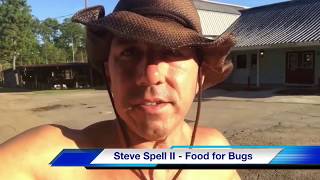 The Deer Fly bite in Livingston Parish Louisiana Surviving Deer Flies [upl. by German386]