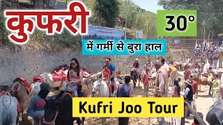 kufri tourist places kufri latest vlog shimla to kufri by road best hills station near shimla [upl. by Sidoeht]