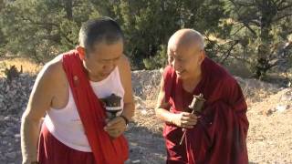 Garchen Rinpoche and Nubpa rinpoche and meetingm4v [upl. by Zulch]