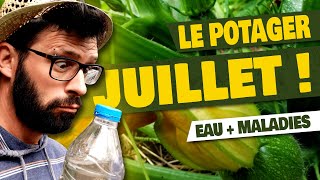 POTAGER  Quoi faire en JUILLET au Potager [upl. by Ambrosane]