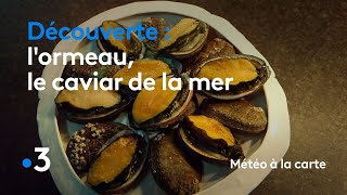 L’ormeau le caviar de la mer  Météo à la carte [upl. by Ettenav]