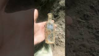 Plain druggist dug Bottle digging [upl. by Mlehliw]