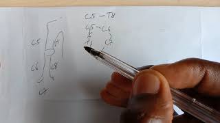 Easy Trick Upper Limb Dermatomes [upl. by Yart]