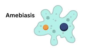 Amoebic colitis entamoeba histolytica [upl. by Oringa]