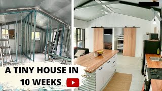 We build a TINY HOUSE in 10 weeks😳 OFFGRID Shed Living part 2 [upl. by Ttej991]