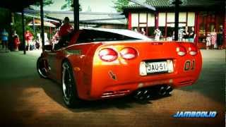 LOUD Six Corvettes Engine StartUp  V8 sound REVS [upl. by Atileda]