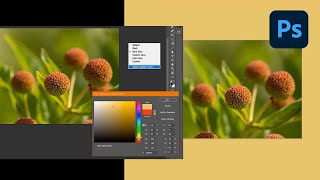 Frame of Mind Selecting Artistic Custom Color Borders [upl. by Wade]