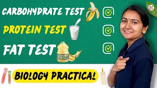 🍼Protein Testपरीक्षण 🍌Carbohydrate Test 🫧Fat Test  Biology Practical [upl. by Gwyn187]