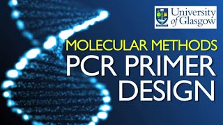 PCR Primer Design [upl. by Holton]