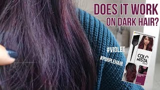 Loreal Colorista Paint Violet on Dark Hair  1 Week Update  TRY OR FRY [upl. by Harrus]