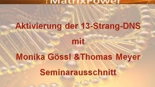 MatrixPower® 13StrangDNS amp TorusAktvierung Seminarausschnitt [upl. by Wulf]