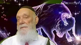 The Zodiac Taurus in Kabbalah  Lecture Matityahu Glazerson [upl. by Lainahtan]