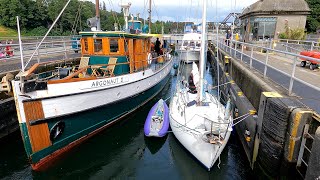 A Visit to the Ballard Locks in Seattle [upl. by Borgeson]