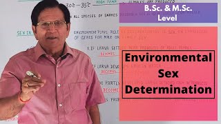 Environmental Sex Determination  BSc amp MSc Level [upl. by Ezar]