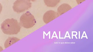 MALARIA [upl. by Anuahc]