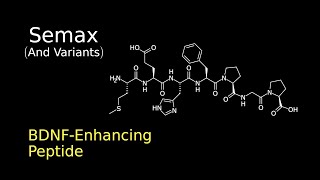 Discussing Semax NASemaxAmidate  Neurogenic Peptide  Pharmacology Research [upl. by Skeie]