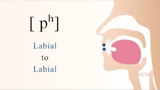 pʰ  unvoiced aspirated bilabial stop [upl. by Zahc]