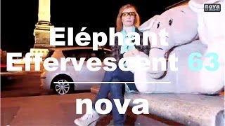 LEléphant Effervescent  Episode 63 • Nova [upl. by Damicke]