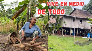 Viven en MEDIO DE LA SELVA en su casita de MADERA y son MUY FELICES 🛖🌳Josué y Elie [upl. by Apoor]