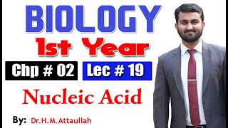 Nucleic acid  Chapter 2  1st year Biology  Lec  19 [upl. by Stricklan30]