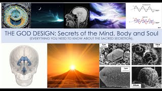 THE GOD DESIGN  Secrets of the Mind Body and Soul FULL DETAILS of the Sacred Secretion [upl. by Katherin]