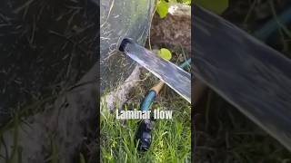 Laminar flow  shorts science sciencefacts physics [upl. by Selmore]