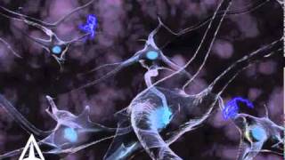 How Neurotransmission amp brain signals work  3D animation [upl. by Crystie]