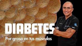 Entendiendo la Resistencia a la Insulina Clave para Prevenir la Diabetes Tipo 2 [upl. by Aihsilat]