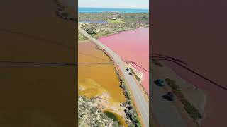 Pink Lake Western Australia pinklake westernaustralia shorts travel dreamwork [upl. by Baptiste849]