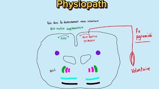 🧠Syndrome extra pyramidal Parkinson [upl. by Bakerman]