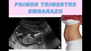 Primer trimestre de embarazo [upl. by Nat981]