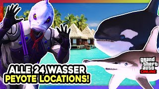 🐠🦈 Alle 24 WASSER PEYOTE FUNDORTE amp LOCATIONS in GTA ONLINE  🦈🐠 [upl. by Piero]