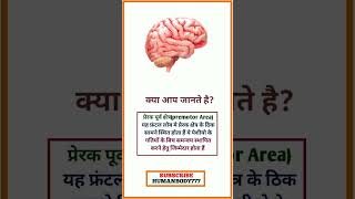 सेरिबरम के सवेदी भाग sensory parts of the cerebrum humanbody education shorts [upl. by Carpenter21]