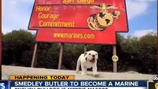 KGTV  ABC 10  Smedley Butler to become a Marine [upl. by Ydnar]