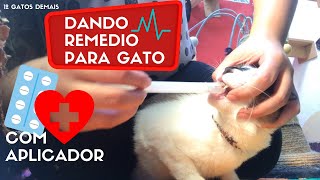 COMO DAR REMEDIO PARA GATOS  GATEIRA [upl. by Armat]