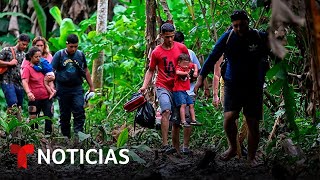 La llegada de migrantes a la selva del Darién alcanza cifras récord  Noticias Telemundo [upl. by Leibman610]