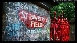 Strawberry Fields Forever  John Lennon Played on his acoustic guitar [upl. by Joel]