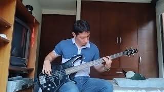 Muse  JFK  Defector  Bass Cover [upl. by Ellessig435]