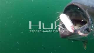 Huk Tuna Fishing  Prince Edward Island [upl. by Nylekcaj]