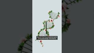 Gene editing technology 🧬🤯  shorts science dna geneediting crispr [upl. by Aiken312]