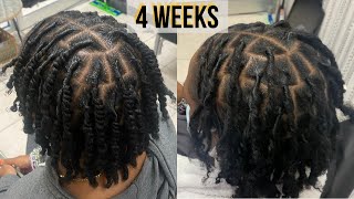 First Retwist on TwoStrand Twist Starter Locs  Talk Through  Technique  Loctician [upl. by Fisher]