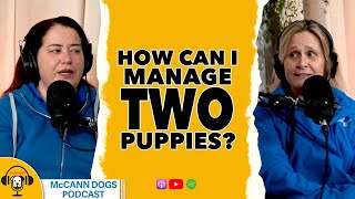 Double The Dogs MORE Than Double The Work  McCann Dogs Podcast Clips [upl. by Lobell817]